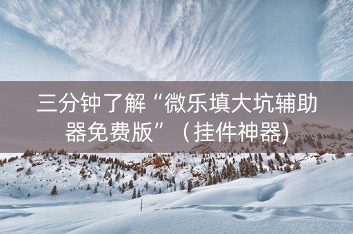 三分钟了解“微乐填大坑辅助器免费版”（挂件神器)