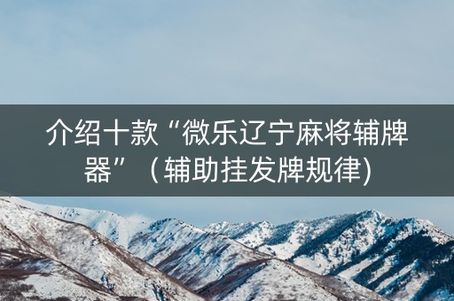 介绍十款“微乐辽宁麻将辅牌器”（辅助挂发牌规律)