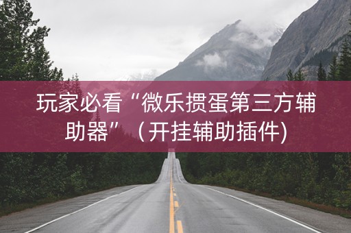 玩家必看“微乐掼蛋第三方辅助器”（开挂辅助插件)