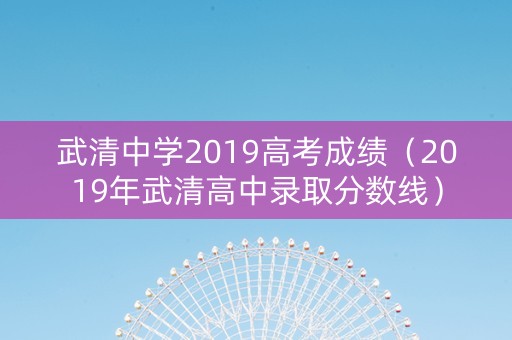 武清中学2019高考成绩（2019年武清高中录取分数线）