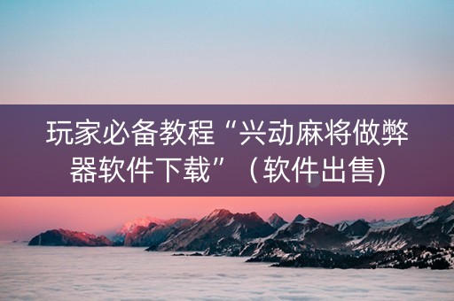 玩家必备教程“兴动麻将做弊器软件下载”（软件出售)