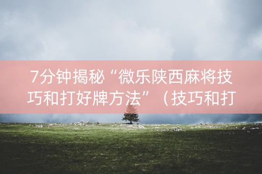 7分钟揭秘“微乐陕西麻将技巧和打好牌方法”（技巧和打好牌方法)