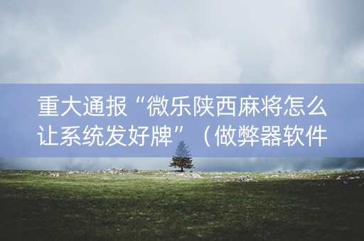 重大通报“微乐陕西麻将怎么让系统发好牌”（做弊器软件下载)
