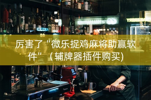 厉害了“微乐捉鸡麻将助赢软件”（辅牌器插件购买)
