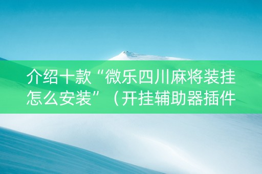 介绍十款“微乐四川麻将装挂怎么安装”（开挂辅助器插件)