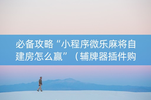 必备攻略“小程序微乐麻将自建房怎么赢”（辅牌器插件购买)