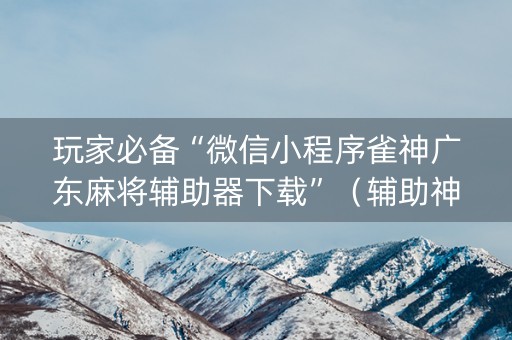 玩家必备“微信小程序雀神广东麻将辅助器下载”（辅助神器免费)