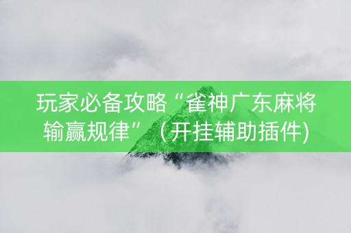 玩家必备攻略“雀神广东麻将输赢规律”（开挂辅助插件)