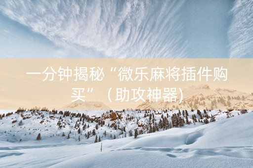 一分钟揭秘“微乐麻将插件购买”（助攻神器)