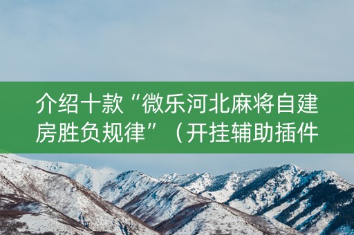 介绍十款“微乐河北麻将自建房胜负规律”（开挂辅助插件)