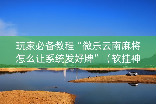 玩家必备教程“微乐云南麻将怎么让系统发好牌”（软挂神器)