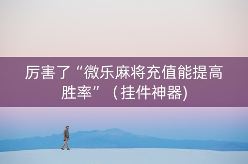 厉害了“微乐麻将充值能提高胜率”（挂件神器)