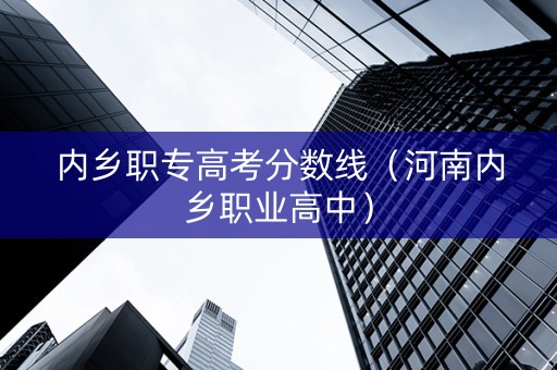 内乡职专高考分数线（河南内乡职业高中）