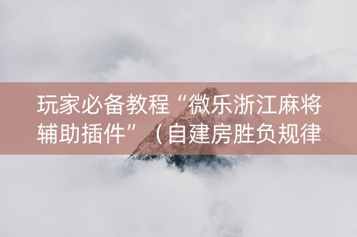 玩家必备教程“微乐浙江麻将辅助插件”（自建房胜负规律)
