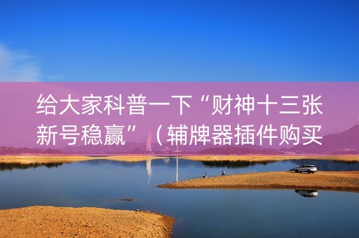 给大家科普一下“财神十三张新号稳赢”（辅牌器插件购买)