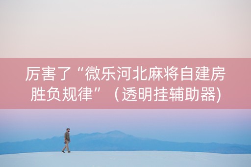 厉害了“微乐河北麻将自建房胜负规律”（透明挂辅助器)