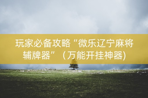 玩家必备攻略“微乐辽宁麻将辅牌器”（万能开挂神器)