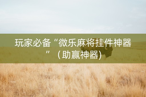 玩家必备“微乐麻将挂件神器”（助赢神器)