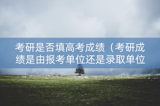 考研是否填高考成绩（考研成绩是由报考单位还是录取单位发初试成绩）