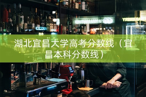 湖北宜昌大学高考分数线（宜昌本科分数线）