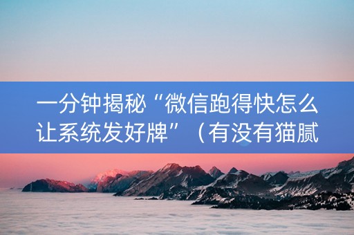 一分钟揭秘“微信跑得快怎么让系统发好牌”（有没有猫腻)