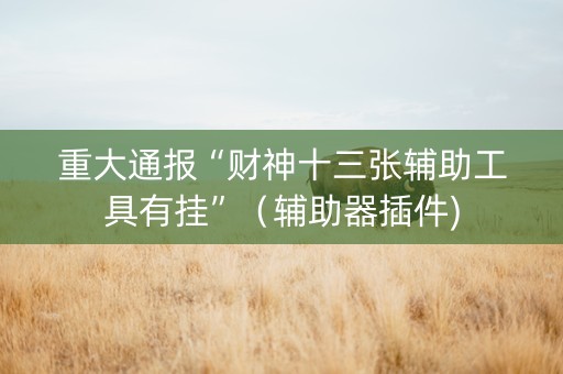 重大通报“财神十三张辅助工具有挂”（辅助器插件)