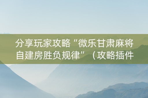 分享玩家攻略“微乐甘肃麻将自建房胜负规律”（攻略插件)