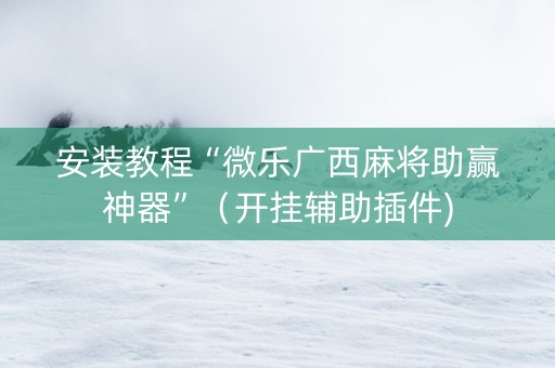 安装教程“微乐广西麻将助赢神器”（开挂辅助插件)