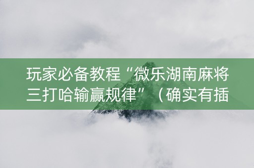 玩家必备教程“微乐湖南麻将三打哈输赢规律”（确实有插件吗)