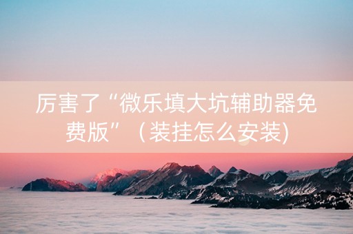 厉害了“微乐填大坑辅助器免费版”（装挂怎么安装)