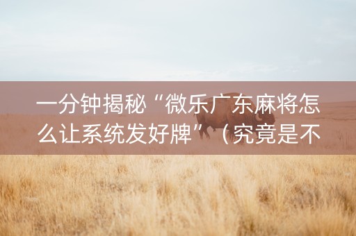 一分钟揭秘“微乐广东麻将怎么让系统发好牌”（究竟是不是有挂)
