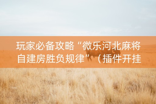 玩家必备攻略“微乐河北麻将自建房胜负规律”（插件开挂免费AI)