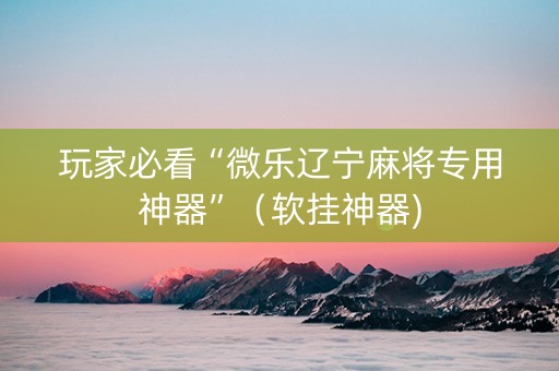 玩家必看“微乐辽宁麻将专用神器”（软挂神器)
