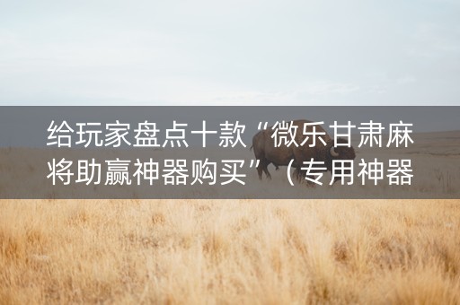 给玩家盘点十款“微乐甘肃麻将助赢神器购买”（专用神器下载)