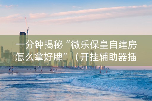 一分钟揭秘“微乐保皇自建房怎么拿好牌”（开挂辅助器插件)