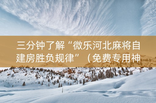 三分钟了解“微乐河北麻将自建房胜负规律”（免费专用神器)