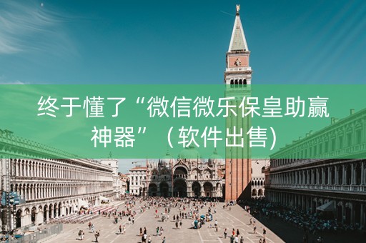 终于懂了“微信微乐保皇助赢神器”（软件出售)