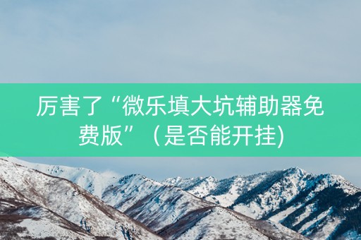 厉害了“微乐填大坑辅助器免费版”（是否能开挂)