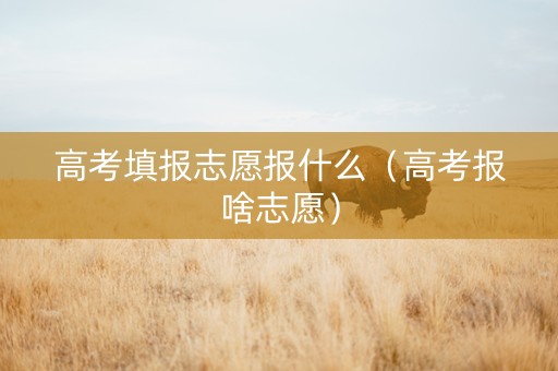高考填报志愿报什么（高考报啥志愿）
