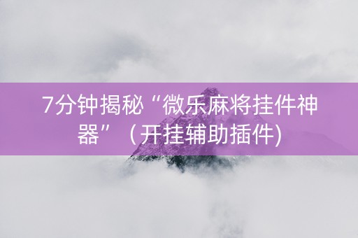 7分钟揭秘“微乐麻将挂件神器”（开挂辅助插件)