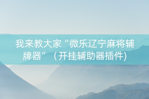 我来教大家“微乐辽宁麻将辅牌器”（开挂辅助器插件)