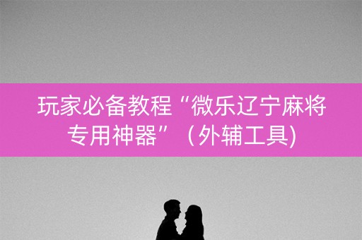 玩家必备教程“微乐辽宁麻将专用神器”（外辅工具)