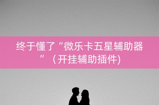 终于懂了“微乐卡五星辅助器”（开挂辅助插件)