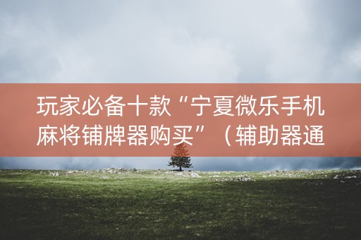 玩家必备十款“宁夏微乐手机麻将铺牌器购买”（辅助器通用版)