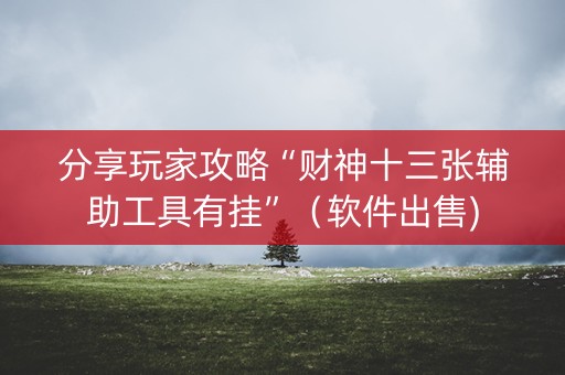 分享玩家攻略“财神十三张辅助工具有挂”（软件出售)