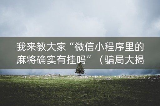 我来教大家“微信小程序里的麻将确实有挂吗”（骗局大揭秘)