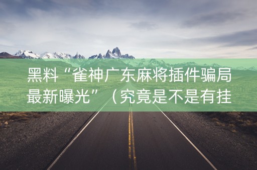 黑料“雀神广东麻将插件骗局最新曝光”（究竟是不是有挂)