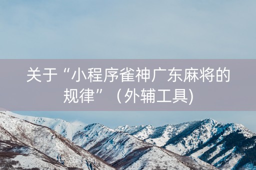 关于“小程序雀神广东麻将的规律”（外辅工具)