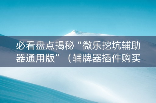 必看盘点揭秘“微乐挖坑辅助器通用版”（辅牌器插件购买)