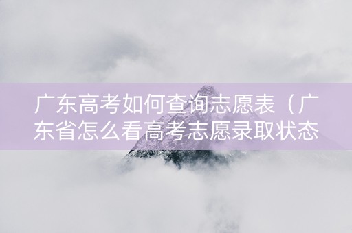 广东高考如何查询志愿表（广东省怎么看高考志愿录取状态）
